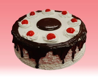 Chocolate Icecream Cake